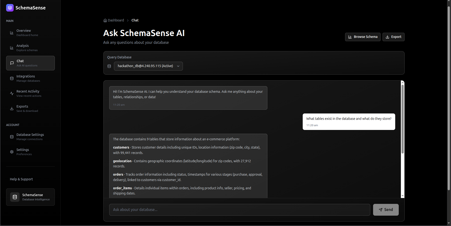 SchemaSense Chat Interface